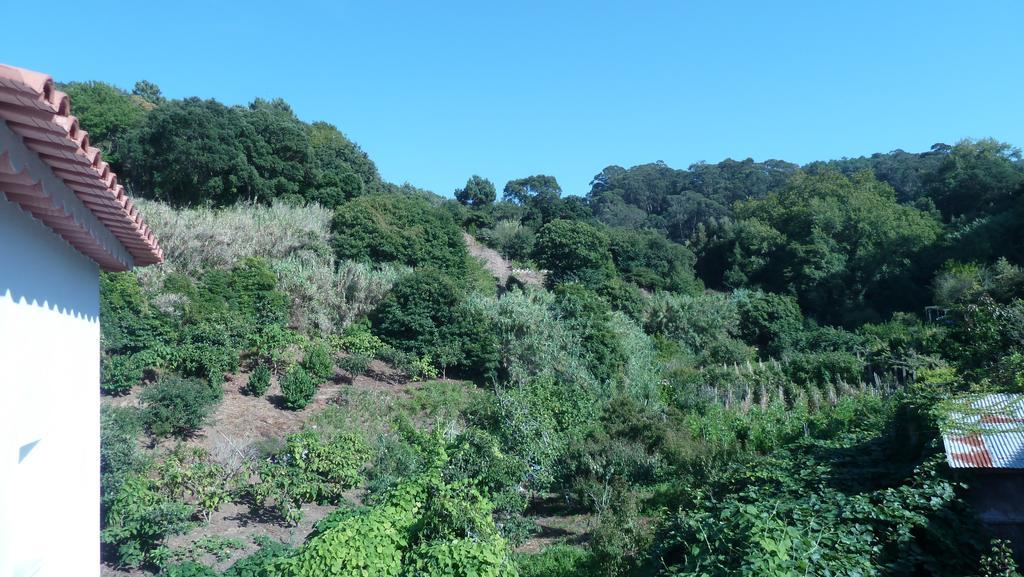 Ribeira Dos Marinheiros Azul Leilighet Sintra Eksteriør bilde